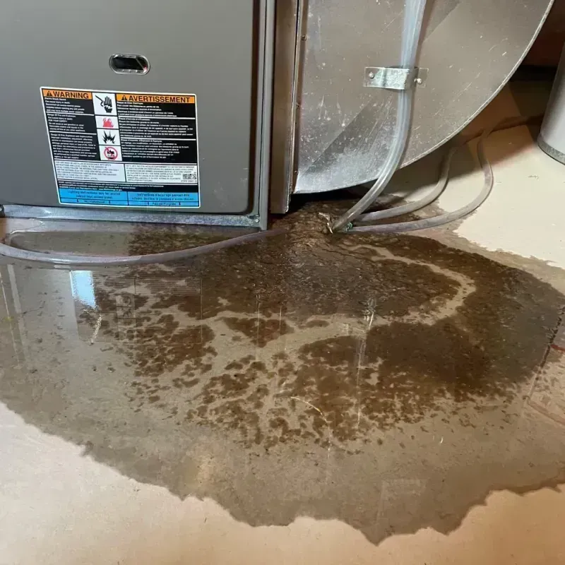 Appliance Leak Cleanup in Twin Grove, IL